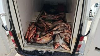  Hala Obor ar putea fi închisă pentru o perioadă mai lungă din cauza neregulilor găsite