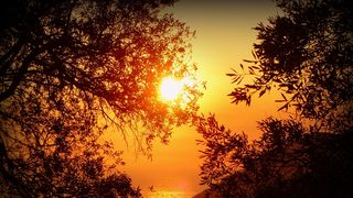 Anunț important MAE: Caniculă şi pericol de incendii în Grecia