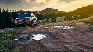 O femeie de 85 de ani a fost găsită inconștientă în pădure