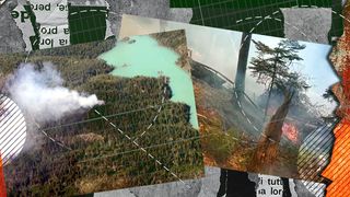 VIDEO | Incendiu de vegetaţie în zona Piatra Arsă, între Sinaia şi Buşteni