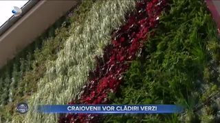 Craiovenii vor clădiri verzi