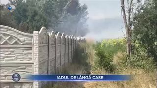 Iadul de lângă case