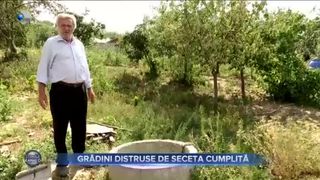 Grădini distruse de seceta cumplită