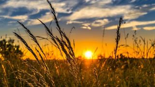 Mesaje pentru luna august 2022