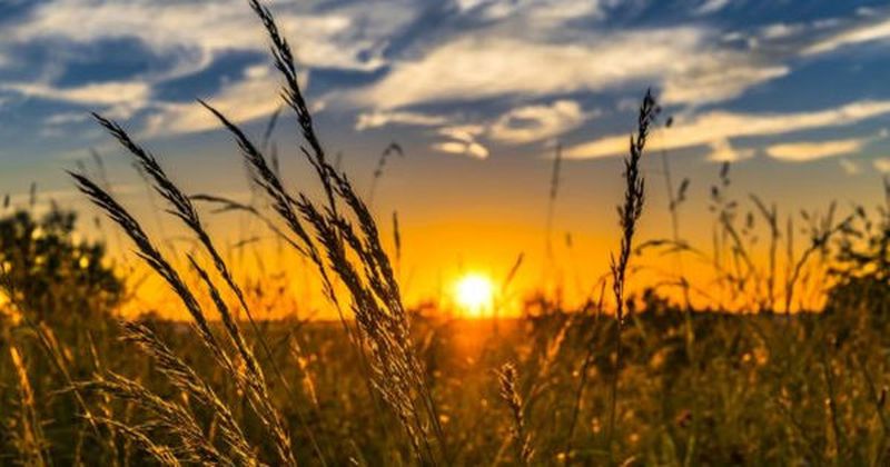 Mesaje pentru luna august 2022