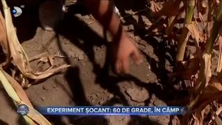 Experiment șocant - 60 de grade, în câmp