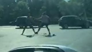 VIDEO | Bătaie cruntă în trafic. Imagini surprinse pe o șosea din Capitală