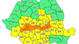 cod galben portocaliu anm