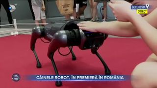 C&acirc;inele robot, &icirc;n premieră &icirc;n Rom&acirc;nia