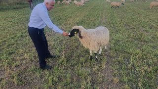 Petre Daea își donează o parte din salariu pentru o  ”siluetă plină de învăţăminte”. Noi perle ale ministrului