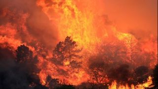 VIDEO - Peste 2.000 de persoane au fost evacuate din calea unui incendiu devastator din California