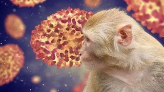 Un bărbat de 45 de ani din Peru, infectat cu variola maimuței, a decedat