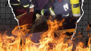 VIDEO - Zeci de copii au avut nevoie de îngrijiri medicale, în urma unui incendiu la o pensiune din Vâlcea