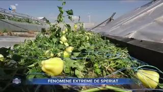 Fenomene extreme de speriat