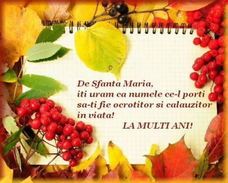 Mesaje, urări şi felicitări pentru Sf. Maria