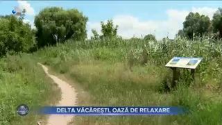 Delta Văcărești, oază de relaxare