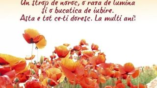 Felicitări de Sf. Maria 2022