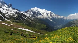 VIDEO - Turiști rom&acirc;ni, prinși &icirc;n pantaloni scurți și adidași &icirc;n timp ce urcau pe Mont Blanc