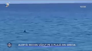 Alertă - rechin văzut pe o plajă din Grecia