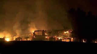 Un pompier american, care a intervenit la stingerea unui incendiu, a descoperit 10 morți care erau chiar membrii familiei sale 