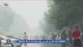 Bloc &icirc;n flăcări de la un cuib de viespi