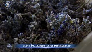 Copiii, &icirc;n &rdquo;Laboratorul miresmelor&rdquo;