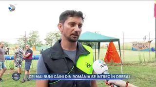 Cei mai buni câini din România se întrec în dresaj