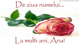 Sf&acirc;nta Ana 2022