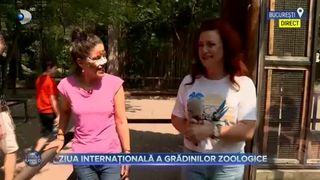 Ziua internațională a grădinilor zoologice