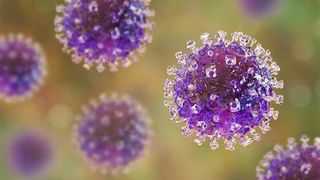 Infectări cu un nou virus de origine animală au fost descoperite în China