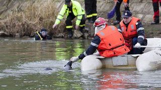 Un bărbat a murit în timp ce se afla la pescuit, pe râul Timiș