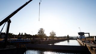 VIDEO: Balena rătăcită pe Sena a murit. Cum a ajuns acolo mamiferul