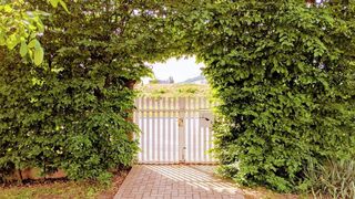 Îți dorești o grădină ferită de vederea vecinilor? Iată cum o poți amenaja