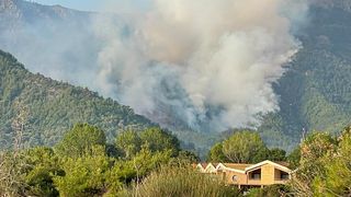 VIDEO | Un nou incendiu pe insula Thassos