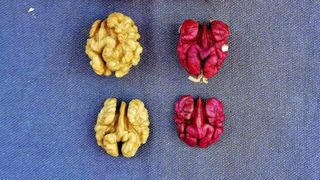 Nucile cu miez roșu au fost omologate în România. Cât costă un kilogram de „Rubin”