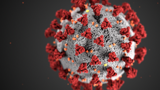 Numărul infectărilor cu Covid-19 este în creștere. Declarația profesorului Popovici