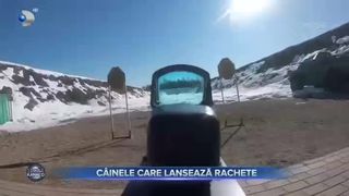 C&acirc;inele care lansează rachete