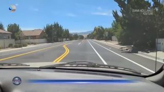 Dorel în SUA, șoferi confuzi