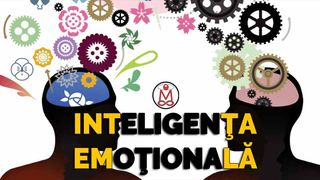 Ce este, de fapt, inteligenţa emoţională? Teoria care a schimbat modul &icirc;n care percepem oamenii