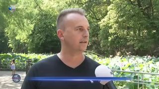 Lacul cu nuferi, atracția turiștilor