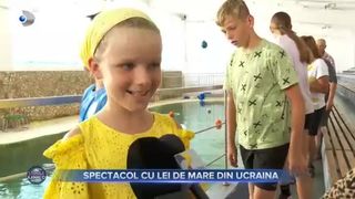 Spectacol cu lei de mare din Ucraina