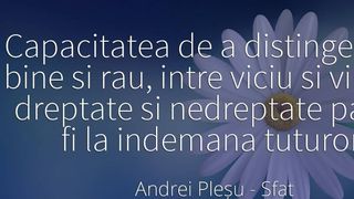 Zece citate celebre de Andrei Pleșu. „Nicio victorie nu e dată fără înfrângere şi nicio cădere nu e dată fără speranţă”