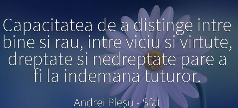 Zece citate celebre de Andrei Pleșu. „Nicio victorie nu e dată fără înfrângere şi nicio cădere nu e dată fără speranţă”