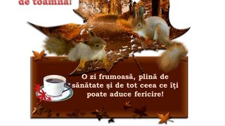 Mesaje superbe pentru &icirc;nceputul toamnei pentru familie și prieteni
