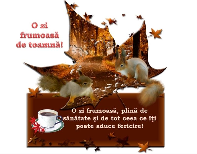 Mesaje superbe pentru începutul toamnei pentru familie și prieteni