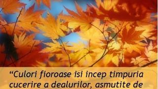 Mesaje superbe pentru &icirc;nceputul toamnei pentru familie și prieteni