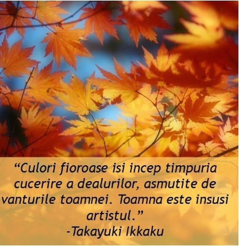 Mesaje superbe pentru începutul toamnei pentru familie și prieteni