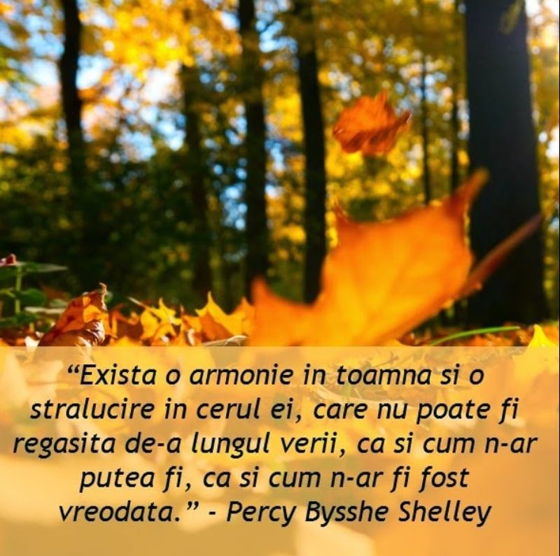 Mesaje superbe pentru începutul toamnei pentru familie și prieteni