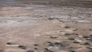 VIDEO | Cel mai sărat lac din România, Movila Miresei, a secat din cauza secetei