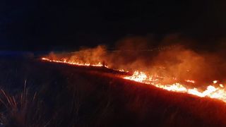  Incendiu de proporții într-o pădure din Giurgiu
